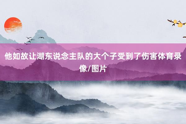他如故让湖东说念主队的大个子受到了伤害体育录像/图片