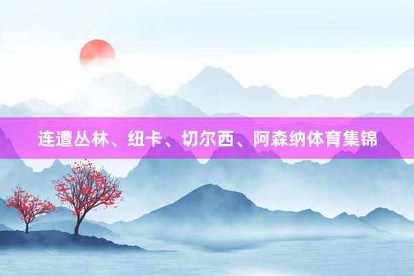 连遭丛林、纽卡、切尔西、阿森纳体育集锦