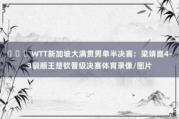 ​​​WTT新加坡大满贯男单半决赛：梁靖崑4-3驯顺王楚钦晋级决赛体育录像/图片