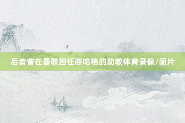 后者曾在曼联担任滕哈格的助教体育录像/图片