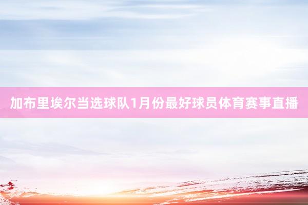 加布里埃尔当选球队1月份最好球员体育赛事直播