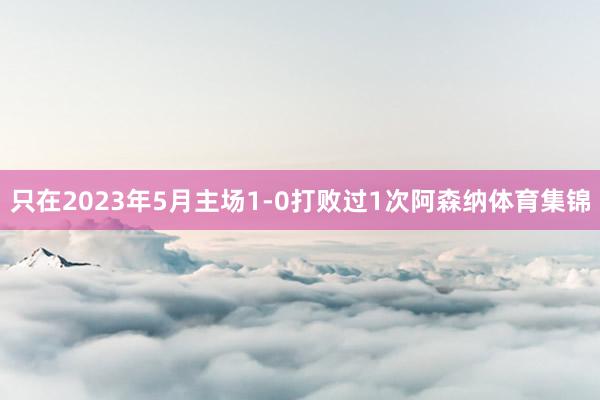只在2023年5月主场1-0打败过1次阿森纳体育集锦