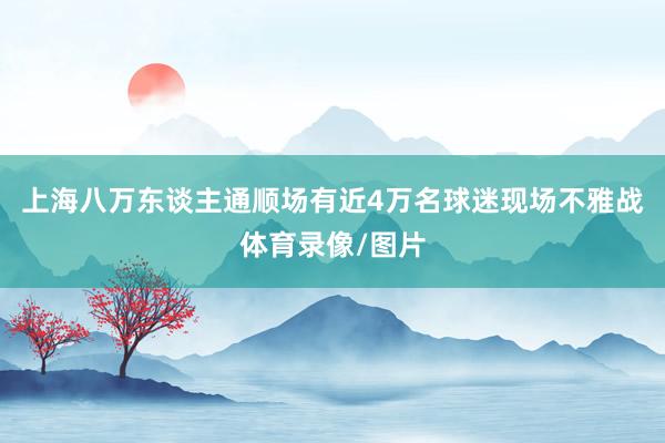 上海八万东谈主通顺场有近4万名球迷现场不雅战体育录像/图片