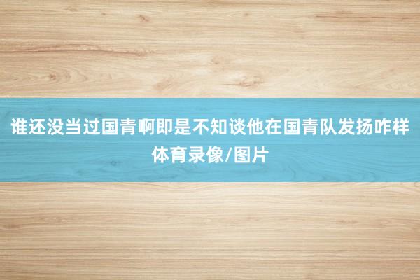 谁还没当过国青啊即是不知谈他在国青队发扬咋样体育录像/图片