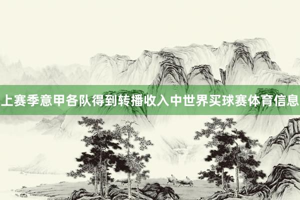 上赛季意甲各队得到转播收入中世界买球赛体育信息