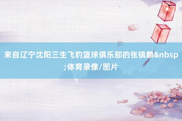 来自辽宁沈阳三生飞豹篮球俱乐部的张镇麟&nbsp;体育录像/图片