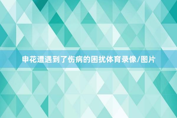申花遭遇到了伤病的困扰体育录像/图片