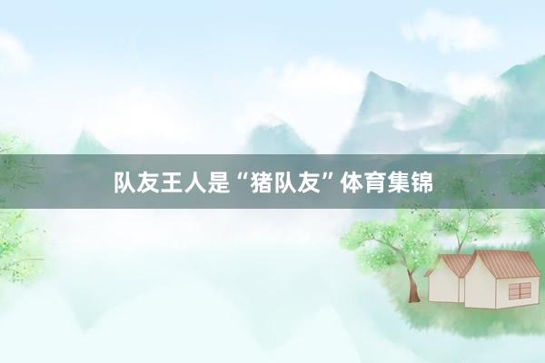 队友王人是“猪队友”体育集锦