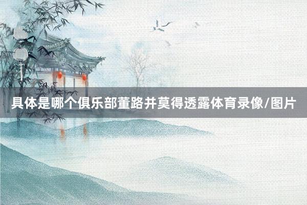 具体是哪个俱乐部董路并莫得透露体育录像/图片
