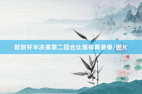 欧联杯半决赛第二回合比赛体育录像/图片