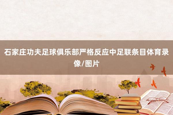 石家庄功夫足球俱乐部严格反应中足联条目体育录像/图片