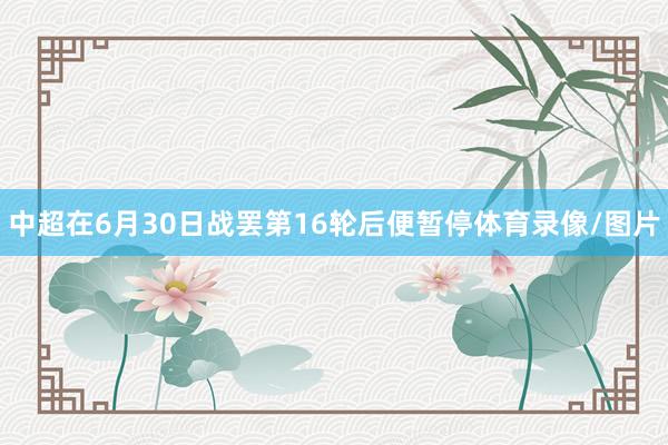 中超在6月30日战罢第16轮后便暂停体育录像/图片