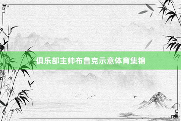 俱乐部主帅布鲁克示意体育集锦