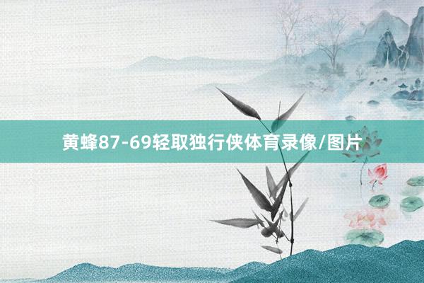 黄蜂87-69轻取独行侠体育录像/图片