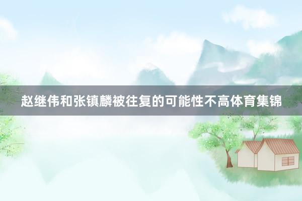 赵继伟和张镇麟被往复的可能性不高体育集锦