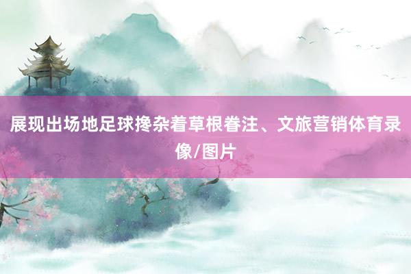 展现出场地足球搀杂着草根眷注、文旅营销体育录像/图片
