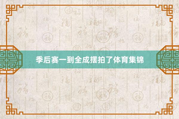 季后赛一到全成摆拍了体育集锦