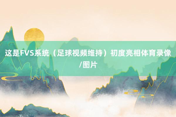 这是FVS系统（足球视频维持）初度亮相体育录像/图片