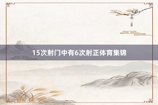 15次射门中有6次射正体育集锦
