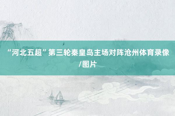 “河北五超”第三轮秦皇岛主场对阵沧州体育录像/图片