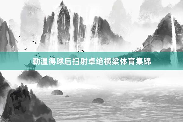 勒温得球后扫射卓绝横梁体育集锦