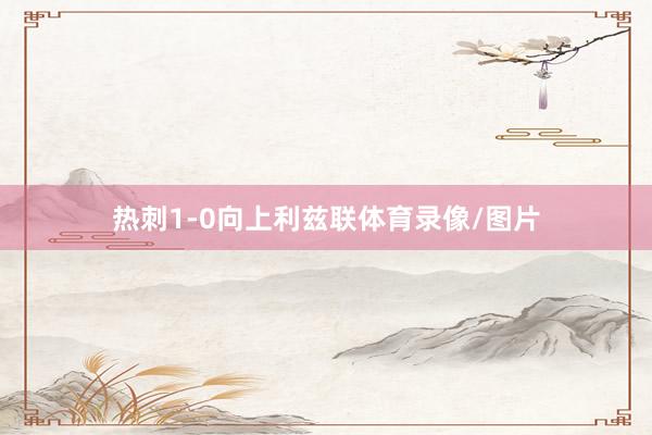 热刺1-0向上利兹联体育录像/图片