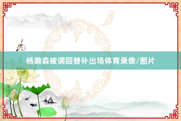 杨瀚森被调回替补出场体育录像/图片