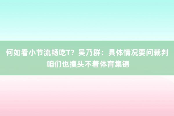 何如看小节流畅吃T？吴乃群：具体情况要问裁判 咱们也摸头不着体育集锦