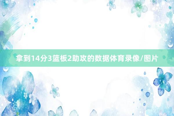 拿到14分3篮板2助攻的数据体育录像/图片