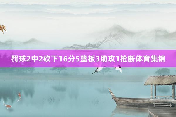 罚球2中2砍下16分5篮板3助攻1抢断体育集锦