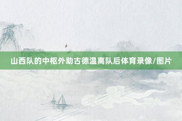 山西队的中枢外助古德温离队后体育录像/图片