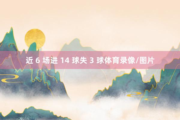 近 6 场进 14 球失 3 球体育录像/图片