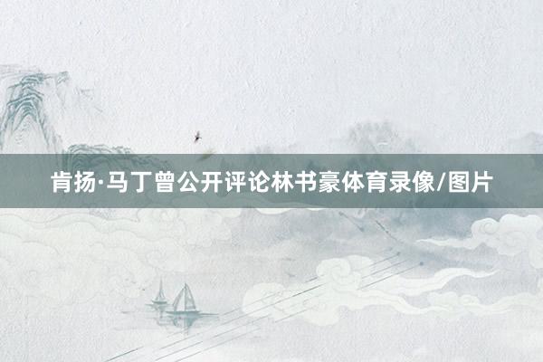 肯扬·马丁曾公开评论林书豪体育录像/图片