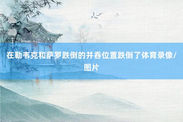 在勒韦克和萨罗跌倒的并吞位置跌倒了体育录像/图片