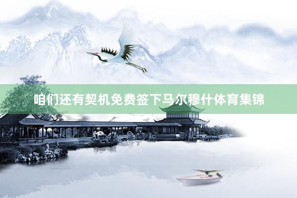 咱们还有契机免费签下马尔穆什体育集锦