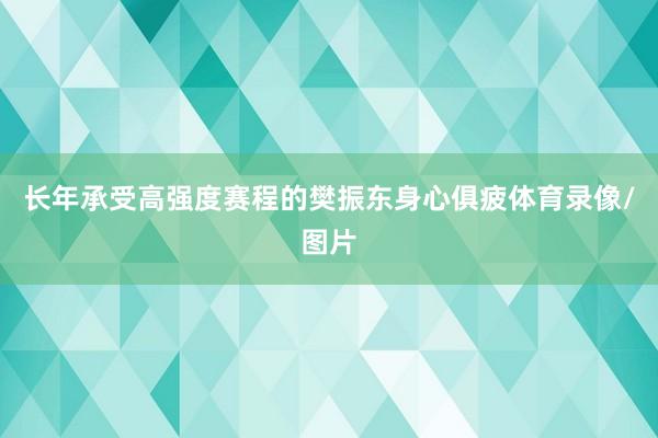 长年承受高强度赛程的樊振东身心俱疲体育录像/图片