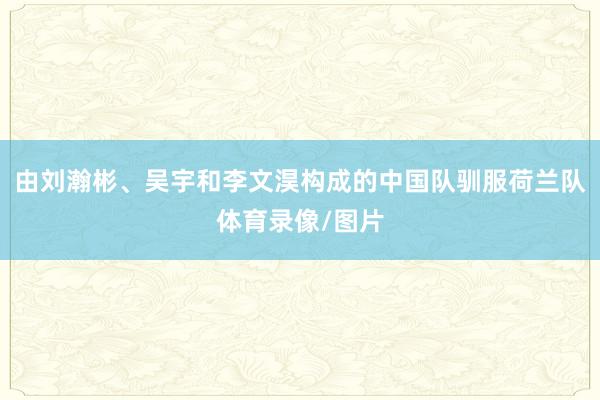 由刘瀚彬、吴宇和李文淏构成的中国队驯服荷兰队体育录像/图片