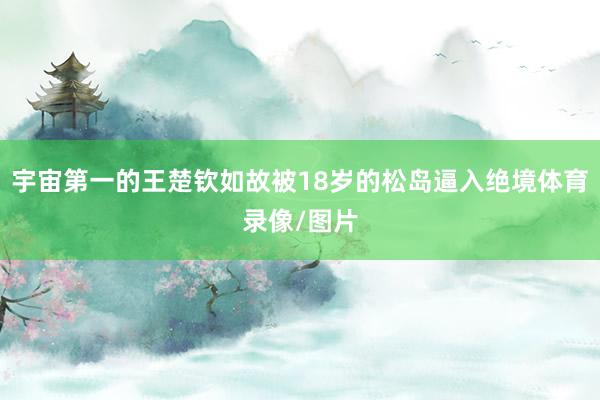宇宙第一的王楚钦如故被18岁的松岛逼入绝境体育录像/图片