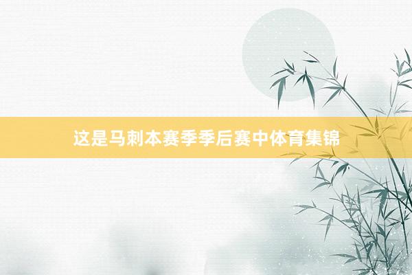 这是马刺本赛季季后赛中体育集锦